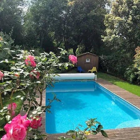 Magnificent House With Pool And Garden *